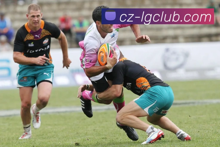 App Interface Preview